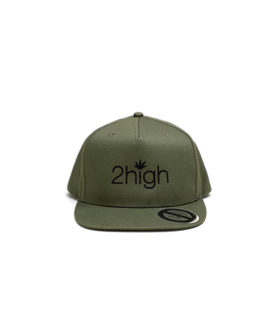 GS-2H-CSH-OLV01